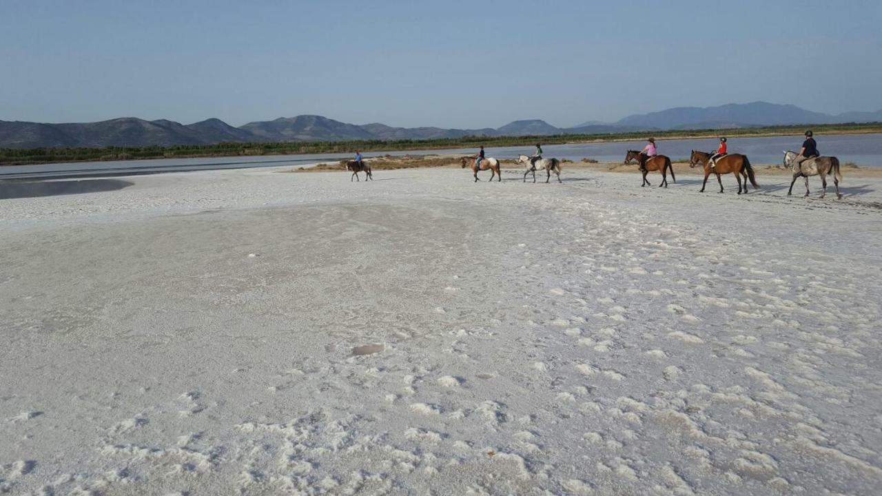 Masainas Agriturismo Is Solinas المظهر الخارجي الصورة