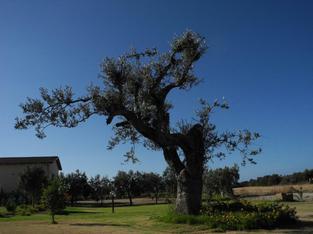 Masainas Agriturismo Is Solinas المظهر الخارجي الصورة