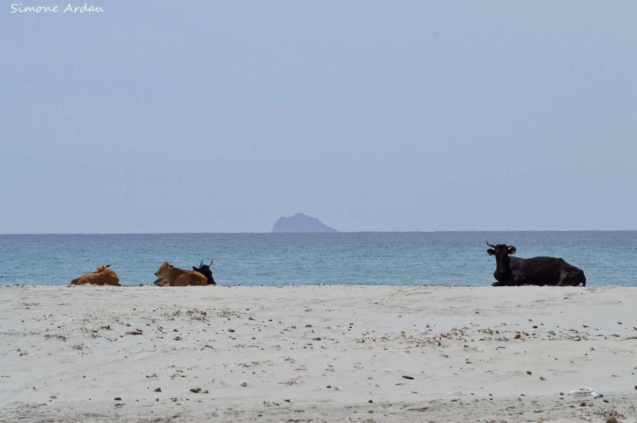 Masainas Agriturismo Is Solinas المظهر الخارجي الصورة